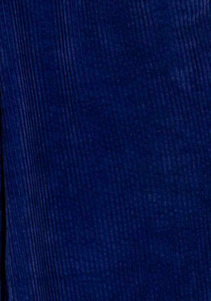 Pantalon Velours Bleu - Taille XS/34 de la marque Des petits hauts | PARAD101768 - Vendu par Paradigme - Image 3