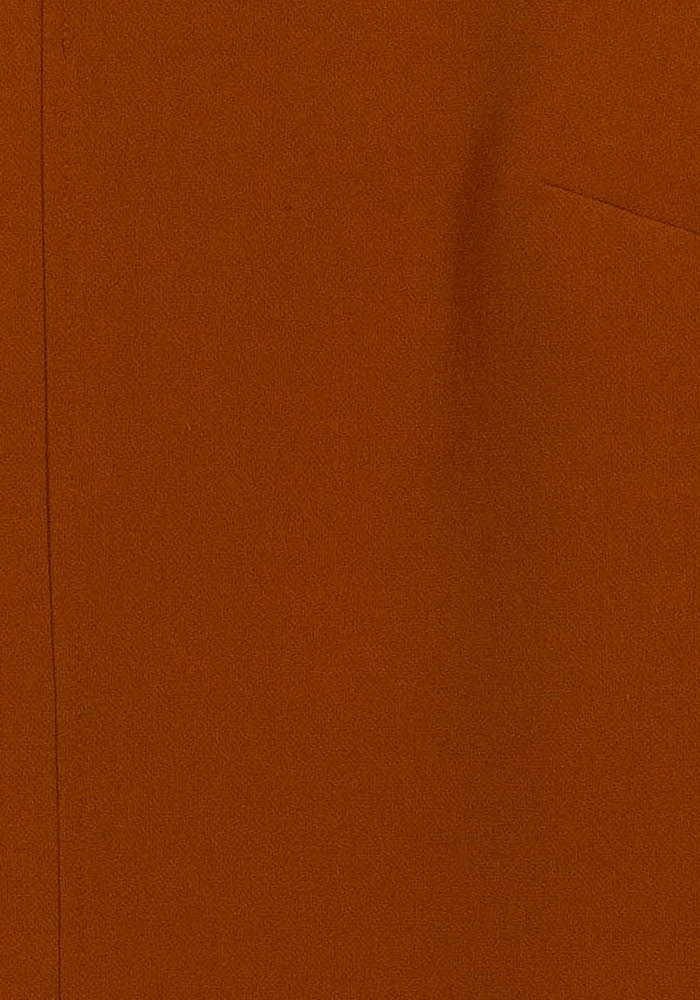 Robe Droite Marron - Taille XXL/44 de la marque Caroll | PARAD101829 - Vendu par Paradigme - Image 3