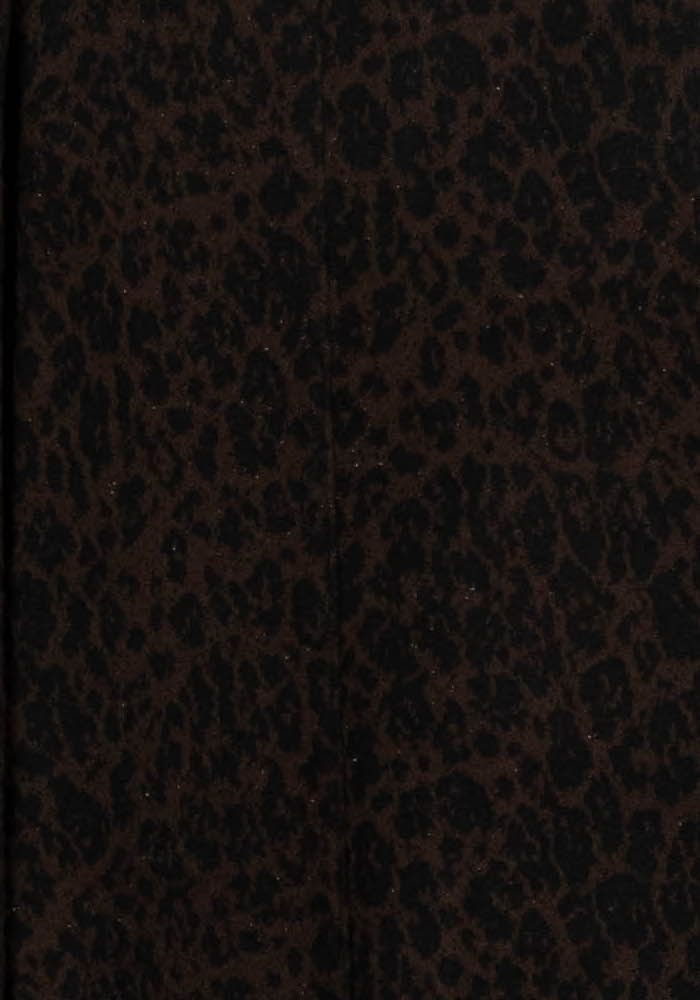 Pantalon Large Marron - Taille M/38 de la marque La Fée Maraboutée | PARAD103157 - Vendu par Paradigme - Image 3