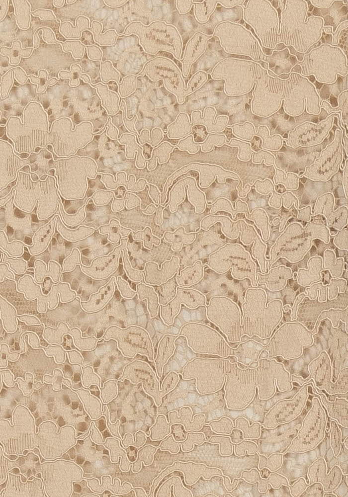 Robe Dentelle Beige - Taille XXXL/46 de la marque Weill | PARAD103911 - Vendu par Paradigme - Image 3