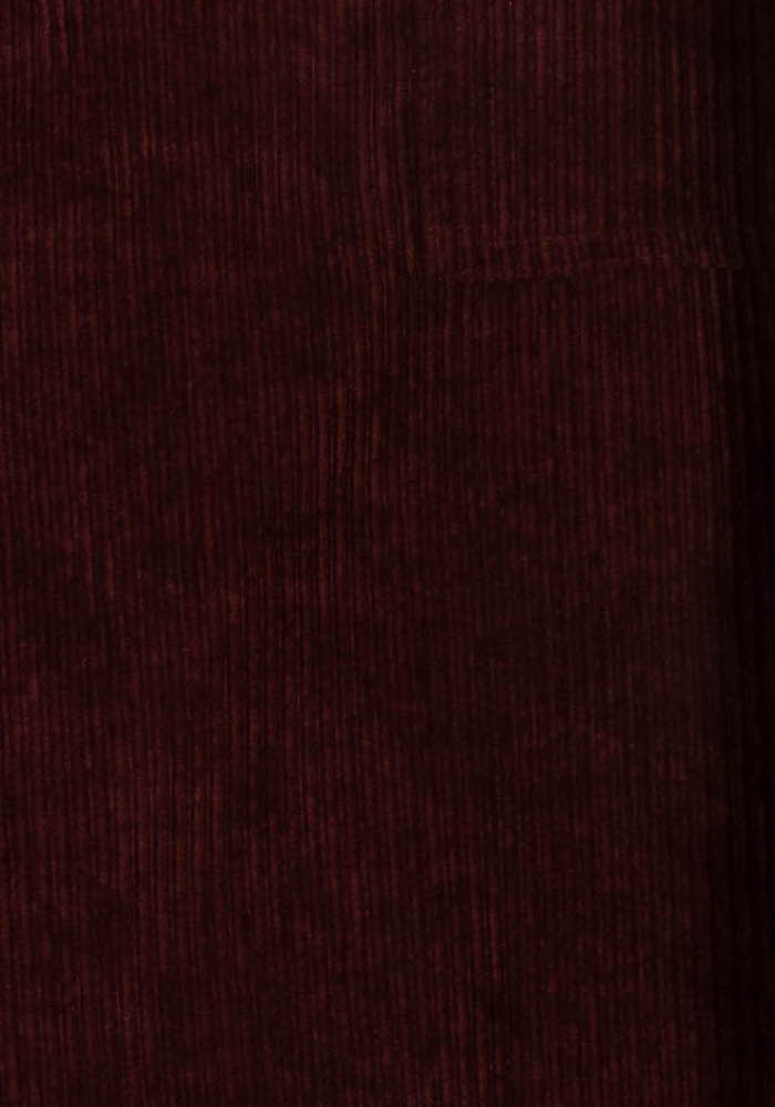 Jupe Bordeaux - Taille XL/42 de la marque La Fée Maraboutée | PARAD104575 - Vendu par Paradigme - Image 3