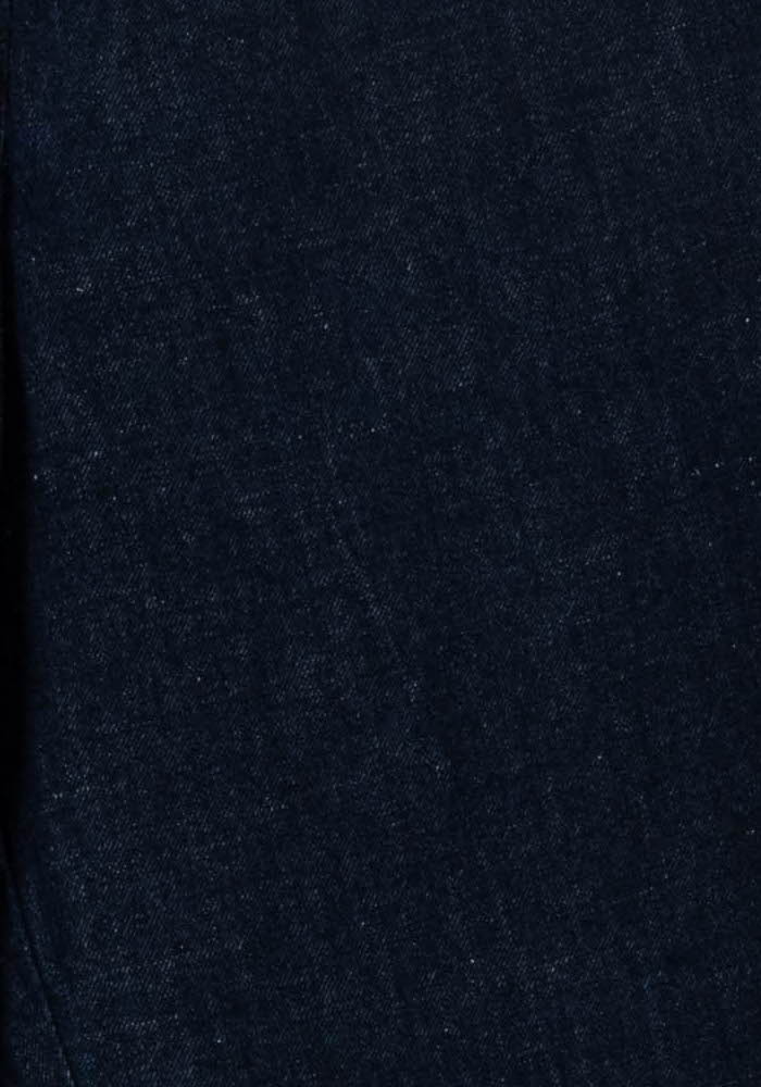 Jean Bleu - Taille L/40 de la marque Comptoir des Cotonniers | PARAD105130 - Vendu par Paradigme - Image 3