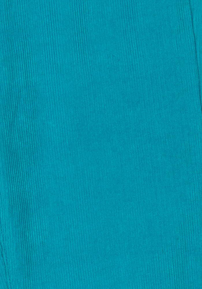 Pantalon Évasé Bleu - Taille S/36 de la marque Wild | PARAD108172 - Vendu par Paradigme - Image 3