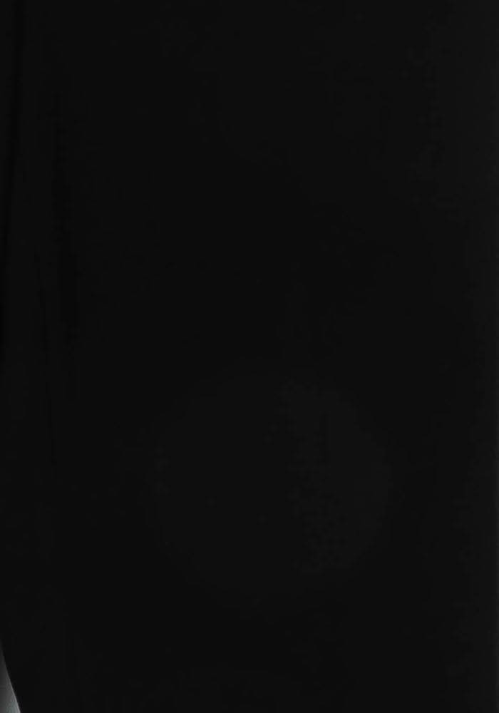 Pantalon Noir - Taille S/36 de la marque Caroll | PARAD113654 - Vendu par Paradigme - Image 3