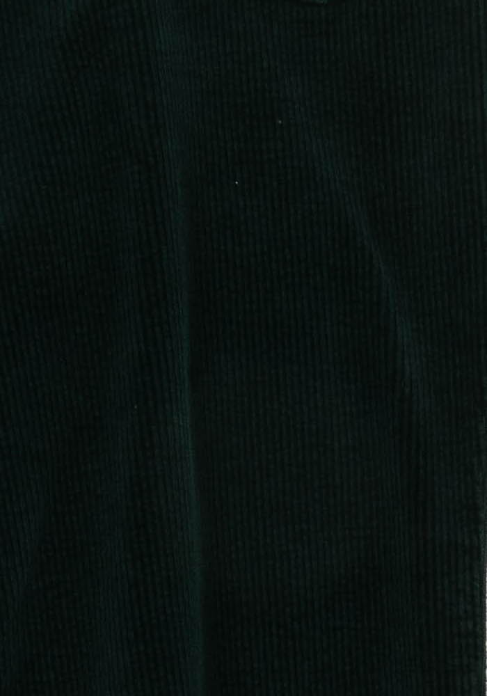 Pantalon Vert - Taille M/38 de la marque Gerard Darel | PARAD117289 - Vendu par Paradigme - Image 3