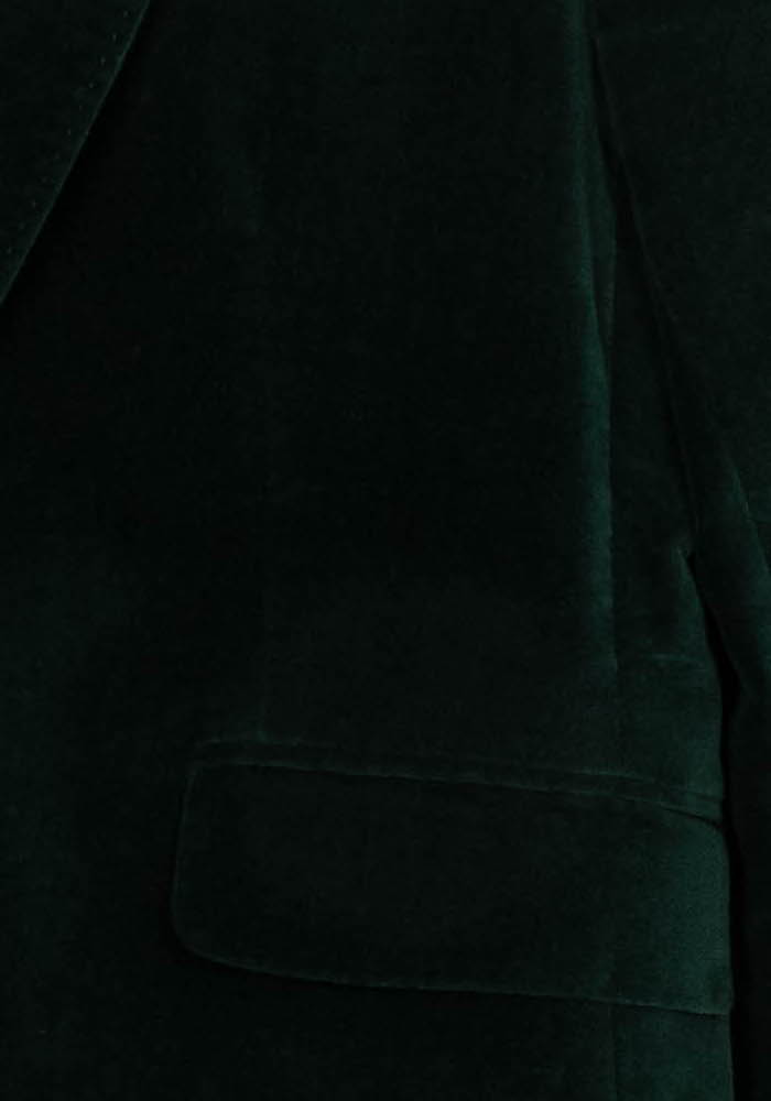 Blazer Vert - Taille M/38 de la marque Caroll | PARAD117836 - Vendu par Paradigme - Image 3