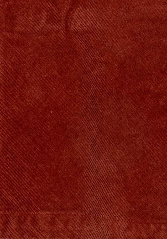 Jupe Courte Orange - Taille XL/42 de la marque La Fée Maraboutée | PARAD121535 - Vendu par Paradigme - Image 3