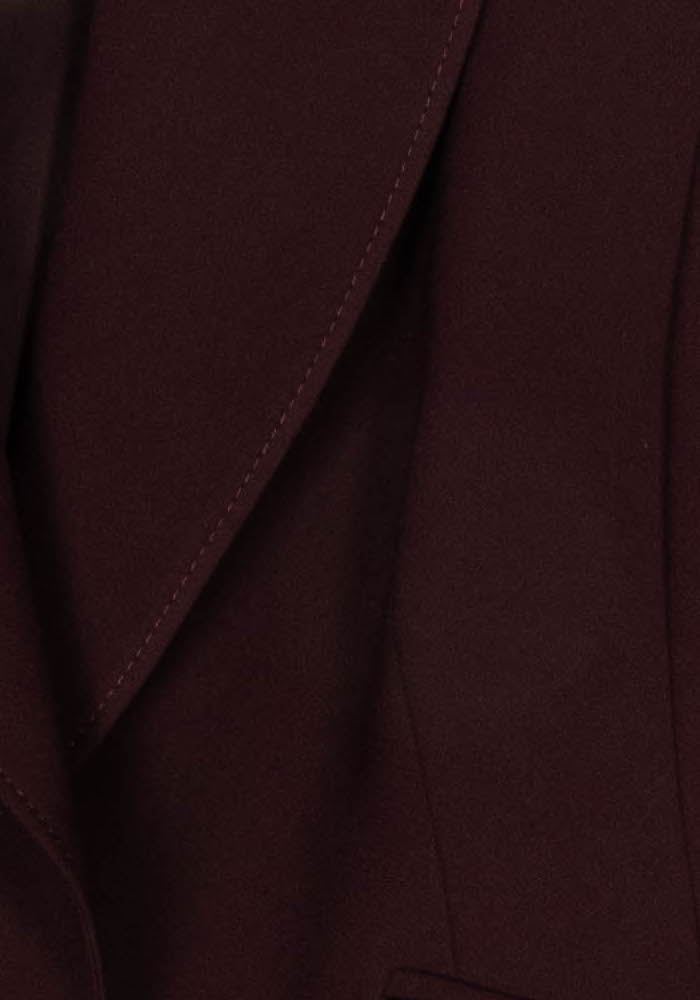Blazer Bordeaux - Taille XXL/44 de la marque Marina Rinaldi | PARAD121792 - Vendu par Paradigme - Image 3