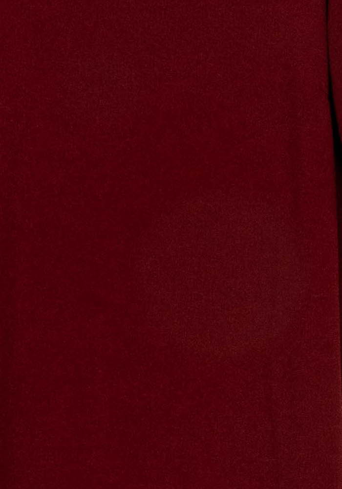 Robe Bordeaux - Taille M/38 de la marque La Fée Maraboutée | PARAD121821 - Vendu par Paradigme - Image 3