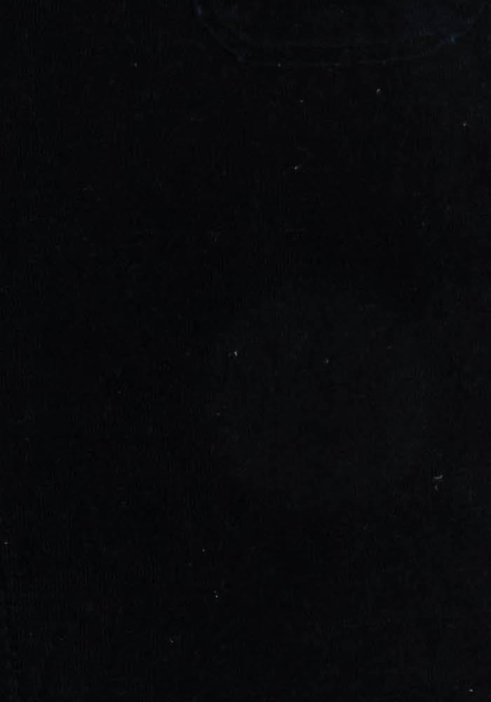 Jean Noir - Taille XL/42 de la marque Caroll | PARAD123616 - Vendu par Paradigme - Image 3