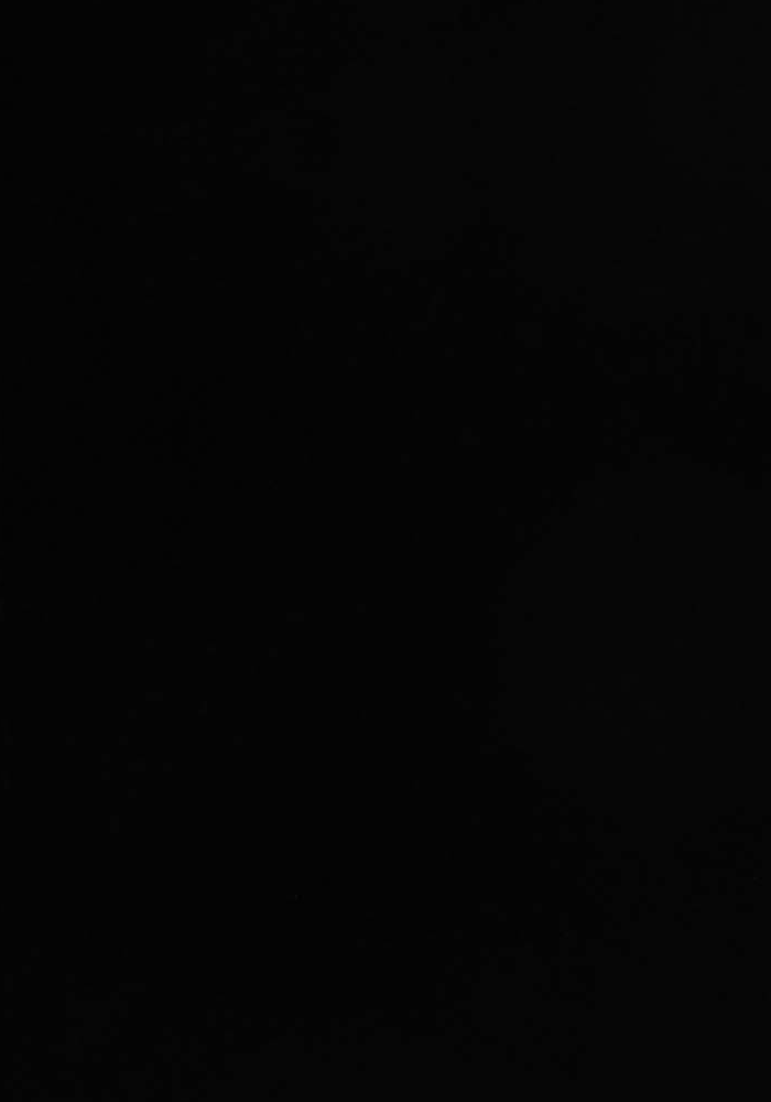 Jupe Droite Noire - Taille XL/42 de la marque Weekend Max Mara | PARAD28715 - Vendu par Paradigme - Image 3