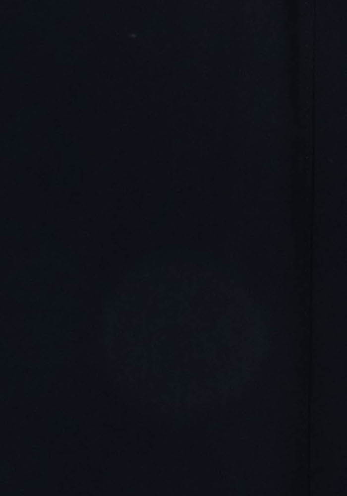 Jupe Midi Bleue - Taille XXL/44 de la marque Marina Rinaldi | PARAD52236 - Vendu par Paradigme - Image 3