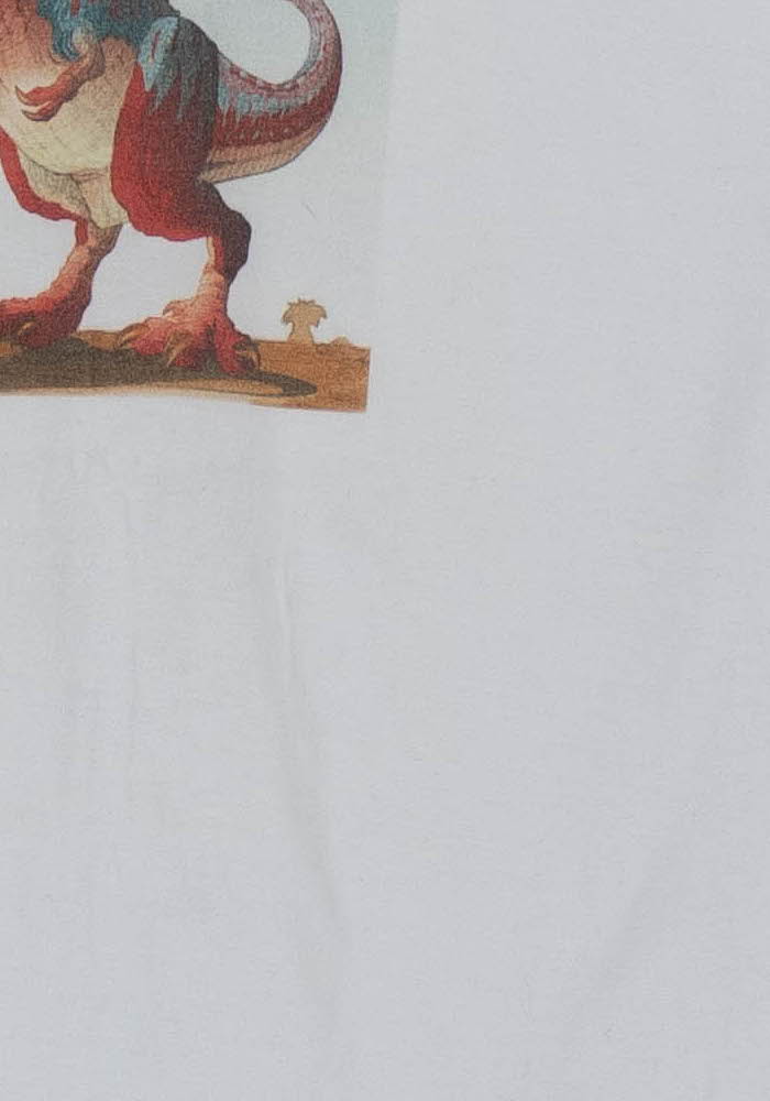 Tee-shirt Blanc - Taille XS/34 de la marque Imperial | PARAD52559 - Vendu par Paradigme - Image 3