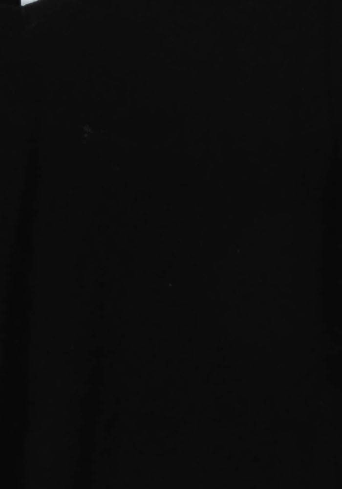 Pull Noir - Taille L/40 de la marque Marina Rinaldi | PARAD57327 - Vendu par Paradigme - Image 3