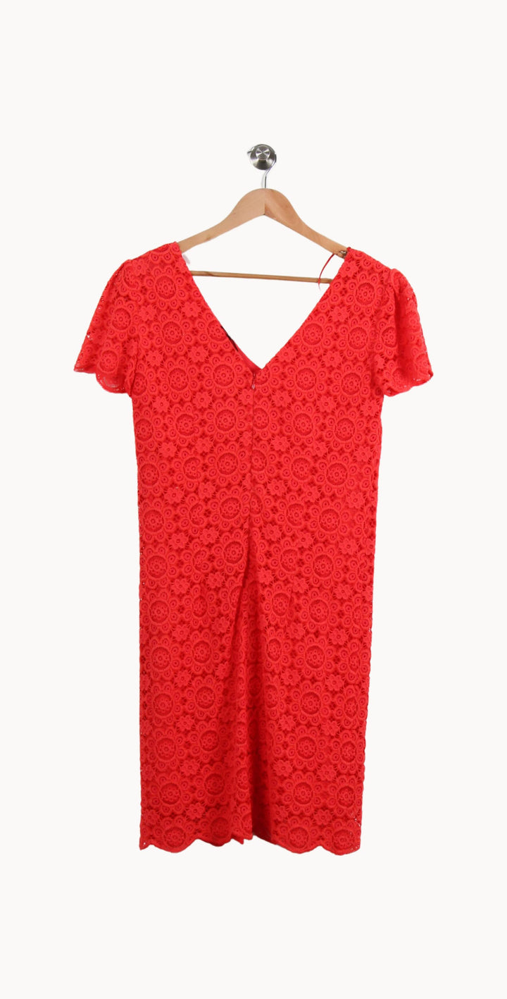 Robe Dentelle Rouge - Taille S/36 de la marque Caroll | PARAD69394 - Vendu par Paradigme - Image 4