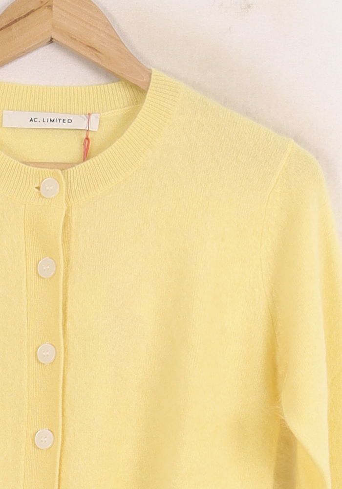 Cardigan Jaune - Taille S/36 de la marque Absolut Cashmere | PARAD75575 - Vendu par Paradigme - Image 3