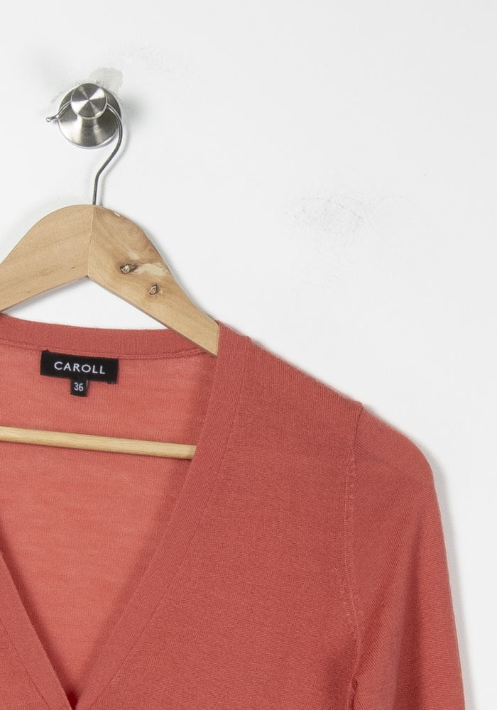 Cardigan Rose et Marron - Taille S/36 de la marque Caroll | PARAD89059 - Vendu par Paradigme - Image 3