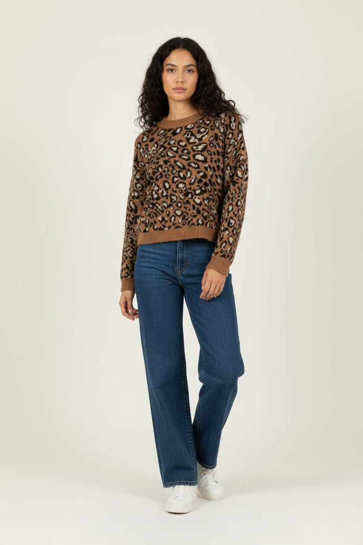 Pull Marron et Noir - Taille XS/34 de la marque La Fée Maraboutée | PARAD89946 - Vendu par Paradigme - Image 1