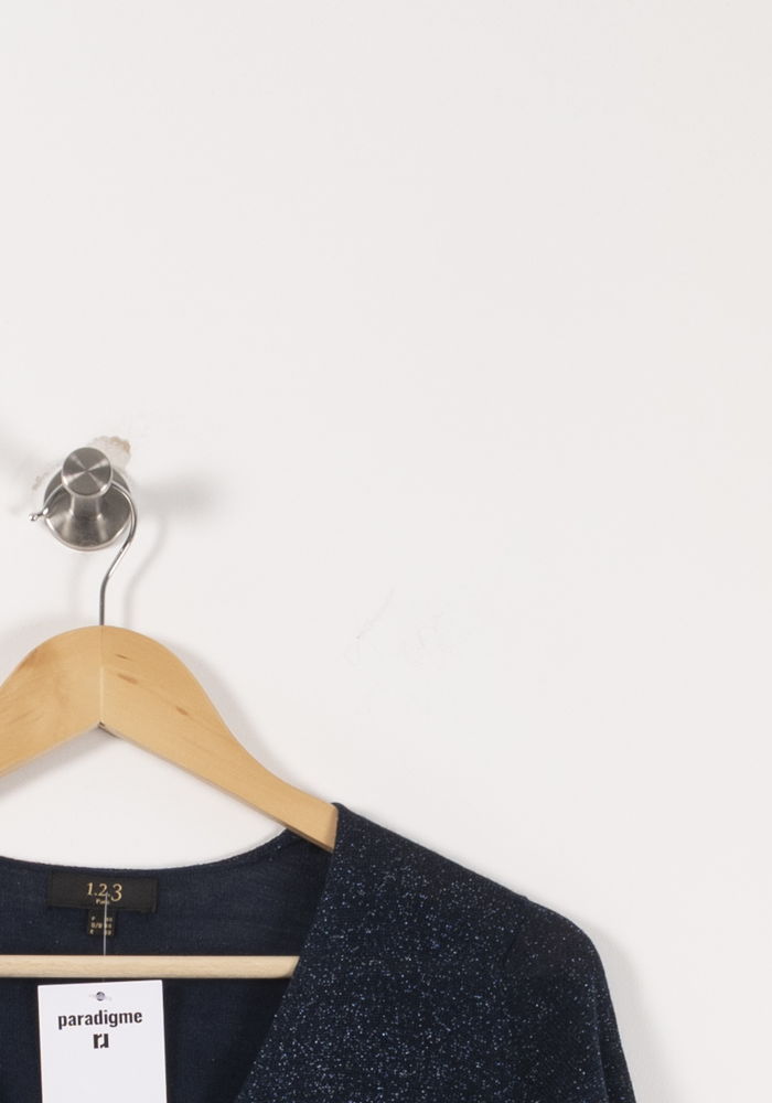 Pull Bleu - Taille S/36 de la marque Maison 123 | PARAD92319 - Vendu par Paradigme - Image 3