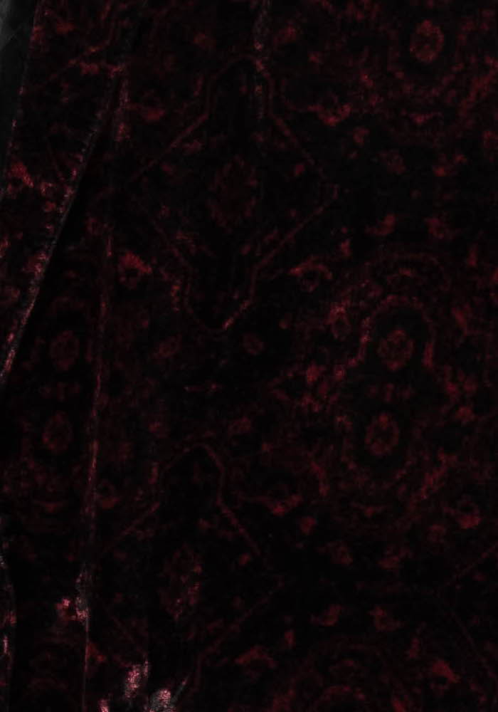 Blazer Bordeaux - Taille XS/34 de la marque Bérénice | PARAD97423 - Vendu par Paradigme - Image 3
