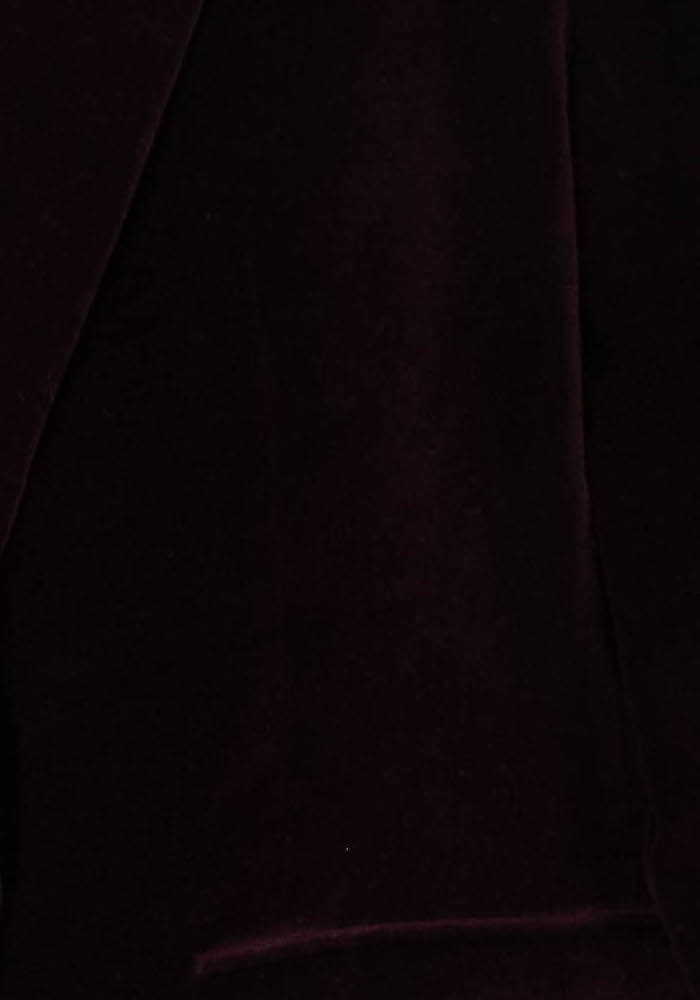 Blazer Bordeaux - Taille M/38 de la marque Caroll | PARAD97570 - Vendu par Paradigme - Image 3