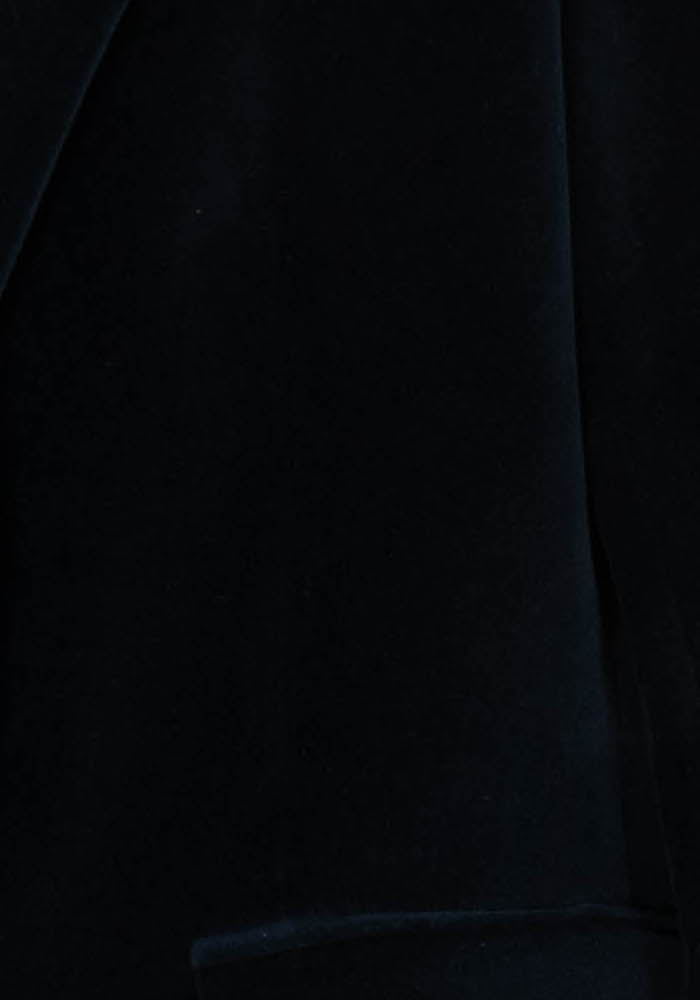 Veste Bleu - Taille S/36 de la marque Caroll | PARAD97648 - Vendu par Paradigme - Image 3