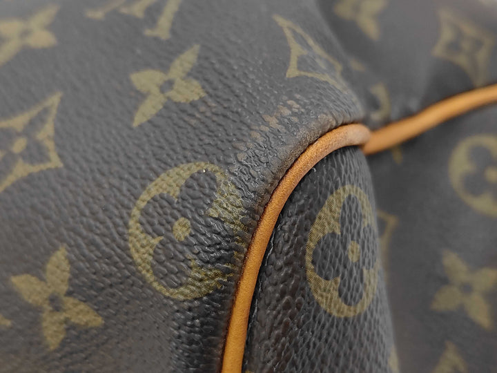 Louis Vuitton Speedy Handbag Monogram Canvas
