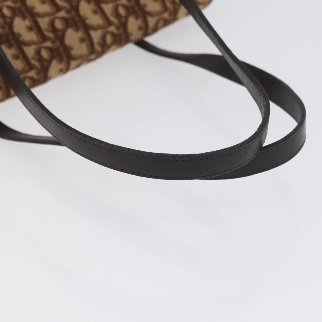 Christian Dior Trotter Canvas