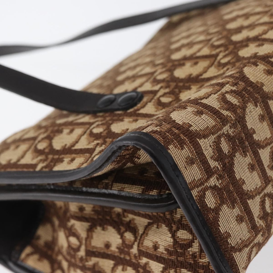 Christian Dior Trotter Canvas