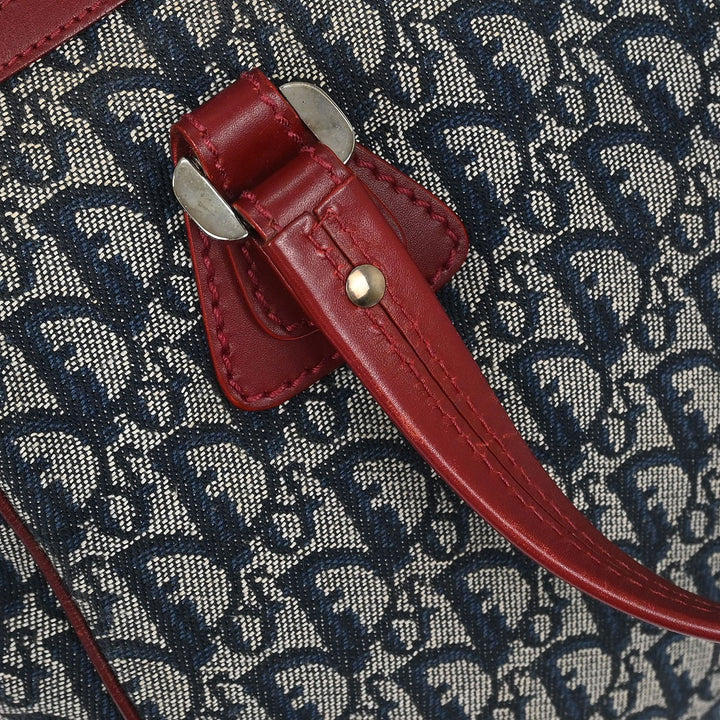 Christian Dior Vintage Trotter Zip Tote Diorissimo Canvas