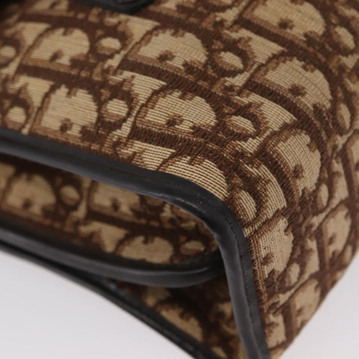 Christian Dior Trotter Canvas