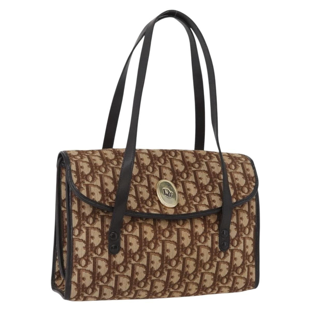 Christian Dior Trotter Canvas