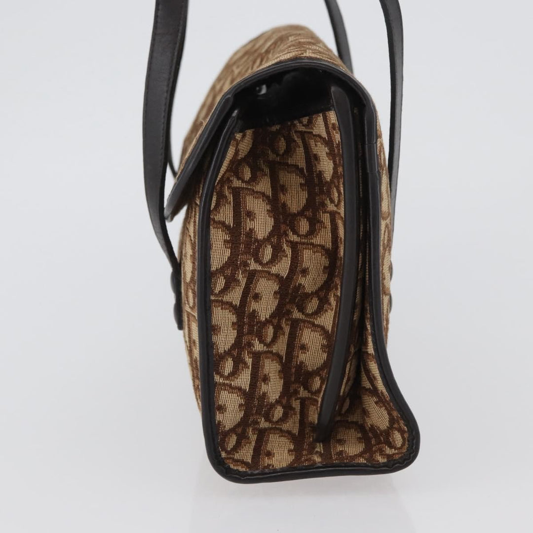 Christian Dior Trotter Canvas