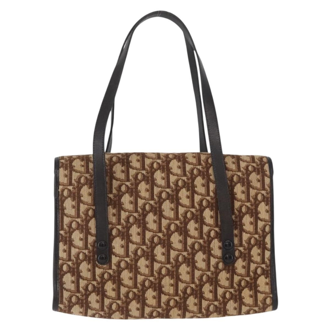 Christian Dior Trotter Canvas