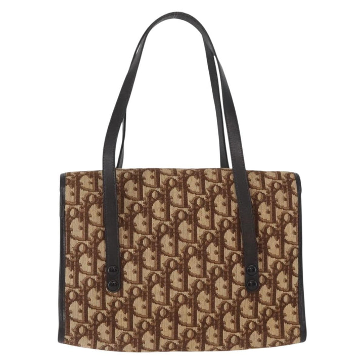 Christian Dior Trotter Canvas
