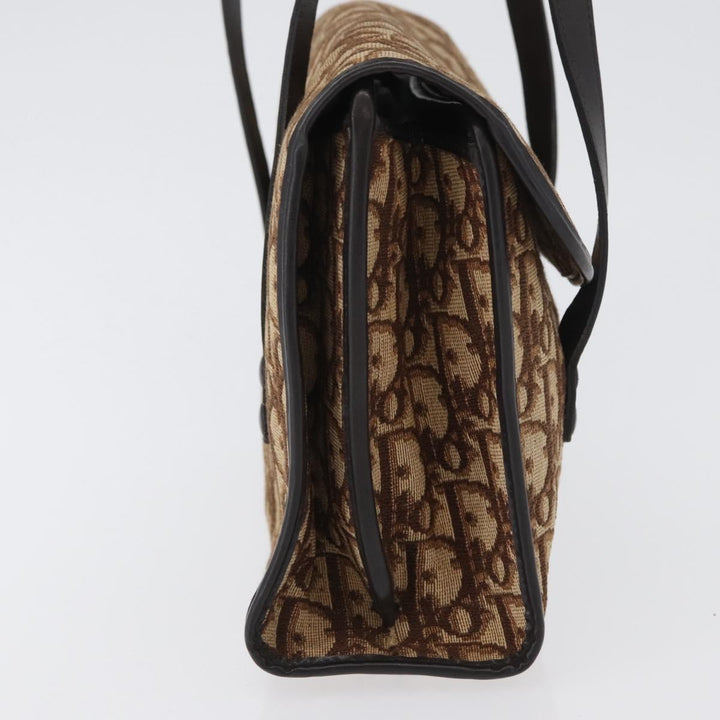 Christian Dior Trotter Canvas