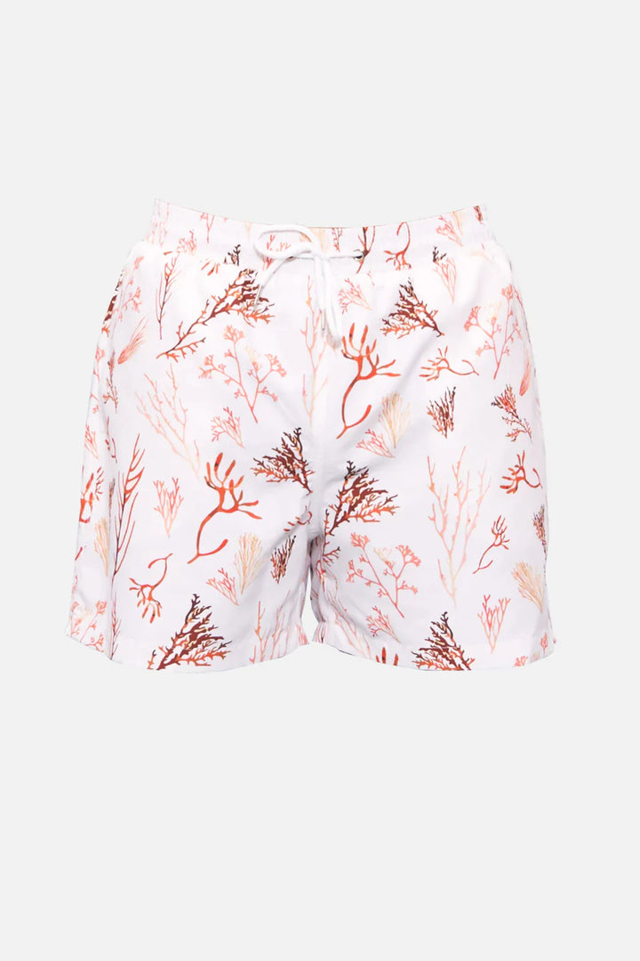 Short Gaspard Alfredo’S - L